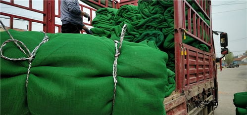 聚乙烯阻燃蓋土防塵網(wǎng)