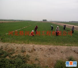 【出售膜下噴灌帶價格_湘潭縣大田噴灌廠家】-省內(nèi)其它易登網(wǎng)